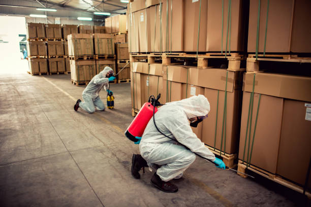 Best Pest Control Near Me  in Rocky Ford, CO