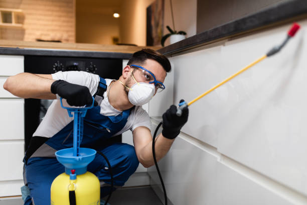 Best Pest Removal Services  in Rocky Ford, CO