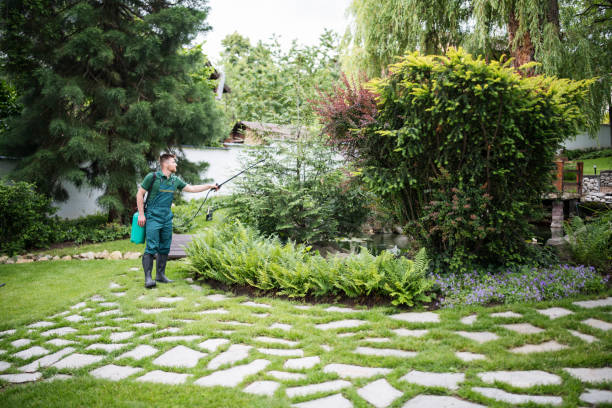Wasp Removal Services in Rocky Ford, CO