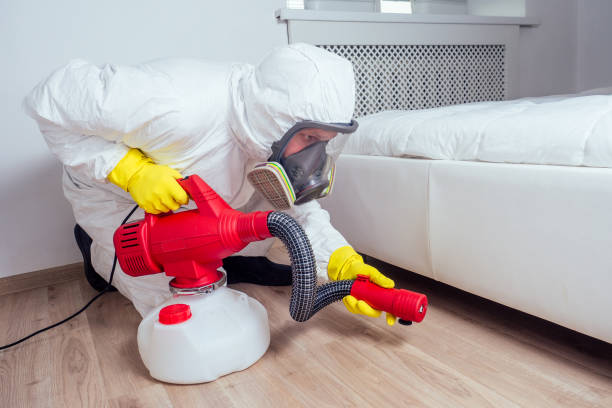 Best Flea Control Services  in Rocky Ford, CO