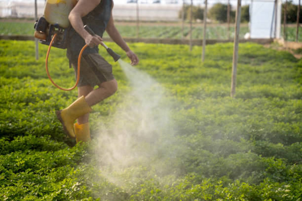 Best Residential Pest Control  in Rocky Ford, CO