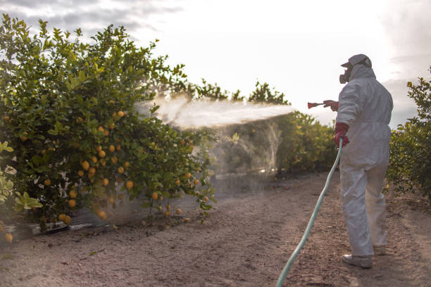 Best Pest Control for Businesses  in Rocky Ford, CO