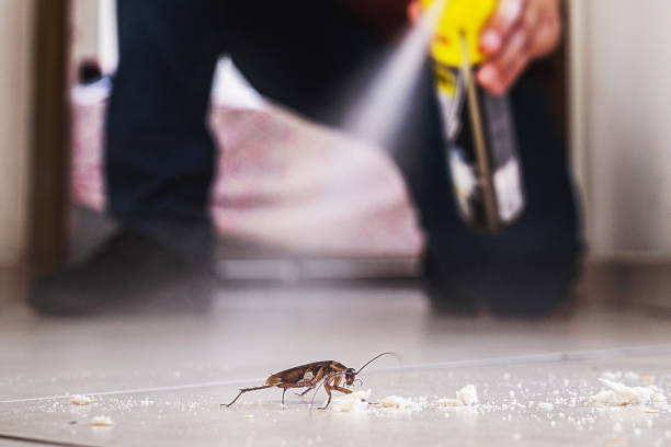 Wildlife Control Services in Rocky Ford, CO