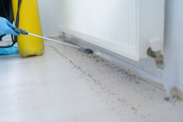 Best Affordable Pest Control Services  in Rocky Ford, CO