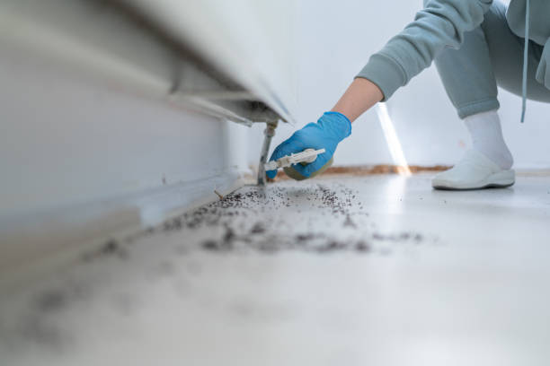 Best Pest Control Treatment  in Rocky Ford, CO