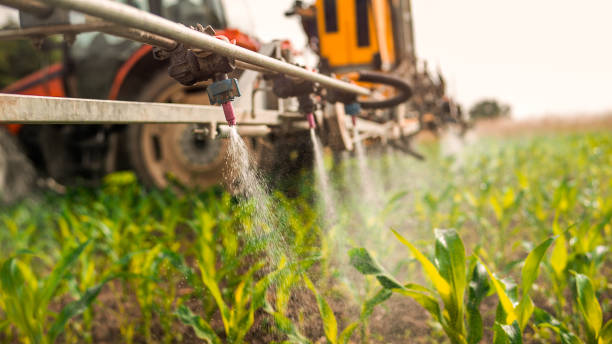 Best Insect Control  in Rocky Ford, CO